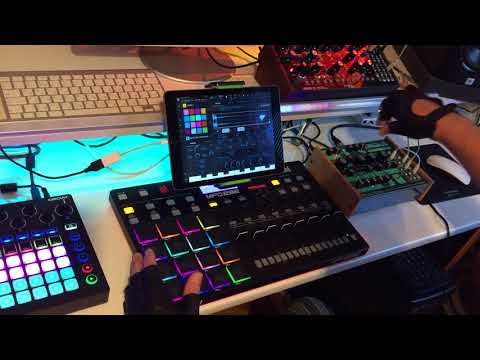 jam with BeatMaker 3 and hardware synthesizers (Moog Mother 32, Dreadbox Erebus)