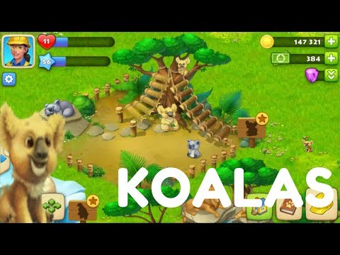 TOWNSHIP ZOO KOALAS COMPLETE FAMILY !!!