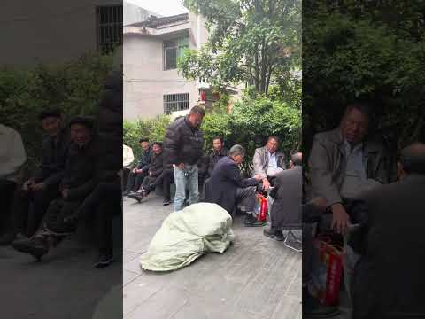 Watch it over and over again and laugh again. If you don’t laugh after watching it, count 🐼 P189