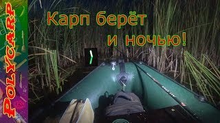 Как и на что ловить карпа ночью