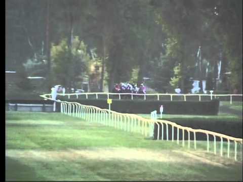 LL, 8. 8. 2015, 8. dostih - PROUTĚNÉ PŘEKÁŽKY SPOLEČNOSTI PILECKÝ