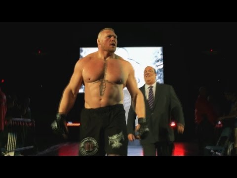 WWE Releases Highlights From Brock Lesnar vs. Randy Orton Rematch