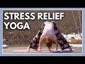 Yoga For Stress Anxiety Mental Health Yoga Breathwork