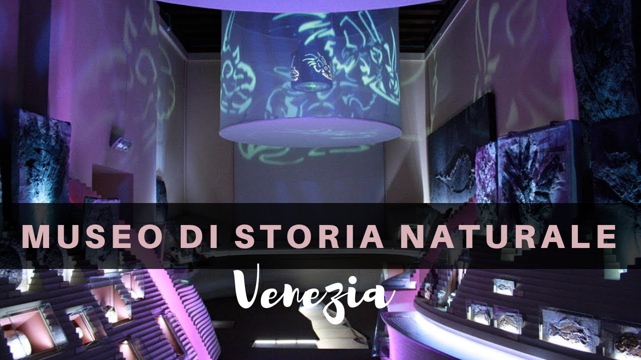Experience the wonders of the natural world at Venice's must-see Museo di Storia Naturale.