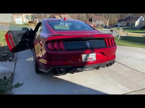 2020 Ford Mustang EcoBoost HPP Exhaust Sound at Idle
