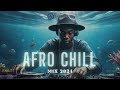 Afro Chill Mix 2024 Chill Afrobeats To Study Work