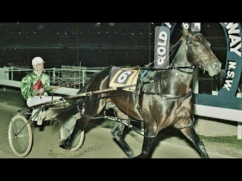 Classic Down Under Racing 1980 Interdominion Pacing Final 2700M Harold Park Australia: Koala King