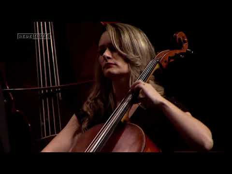 Flávio Venturini & Orquestra Opus - Fantasia barroca ( Flávio Venturini )