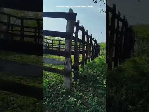 FINCA EN VENTA EN USIACURI ATLANTICO 13 HECTAREAS