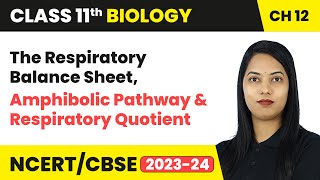 The Respiratory Balance Sheet, Amphibolic Pathway & Respiratory Quotient | Class 11 Biology Ch 12