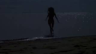 Fountains of Wayne - Amity Gardens