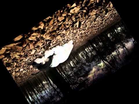 Skinny Al - Verloren / Gib Mir Die Kugel (feat. Kontra K)