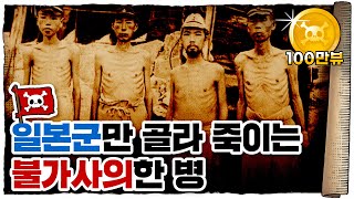 💀 에도시대부터 일본🇯🇵을 괴롭힌 희한한 질병?? / 💀 각기병은 어떻게 퇴치되었을까?