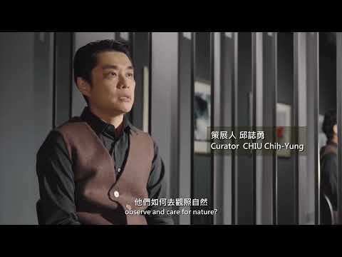 Specularity / Reflexivity : Contemporary Image Arts after 1980s