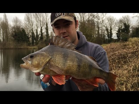 Fishing For Big Perch - A New PB