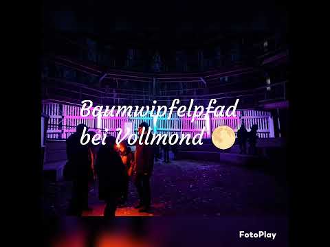 Rügen im Februar 2023 💚 #reisebericht #rügen