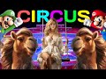 2024 NEW Circus Show Super Mario Elite Arabian Horses Exotic Camels And More Spectacles