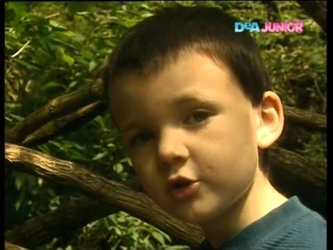 Teletubbies   Nascondino