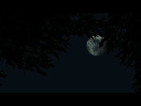 Ra sihinen oba langa ma sanasenawa cover song | රෑ සිහිනෙන් ඔබ ළඟ මා සැනසෙනවා