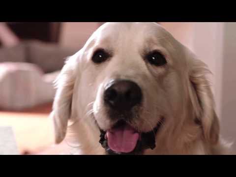 CIB Előrelépő Személyi Kölcsön - Hitelképesség