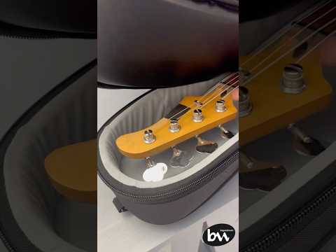 фото полужесткий чехол для бас-гитары bass pro b&m 0