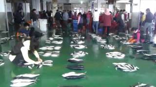 preview picture of video 'fish market, Taiwan'