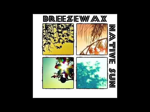Missing You (ft. Ahnom) | Breezewax