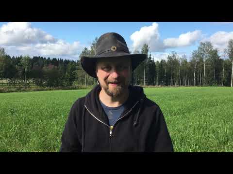 Viking Age from Finland!