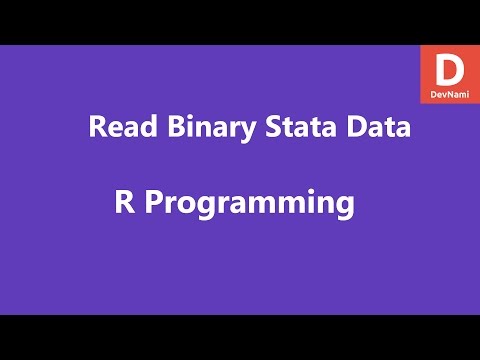 R Programming Read Binary Stata File