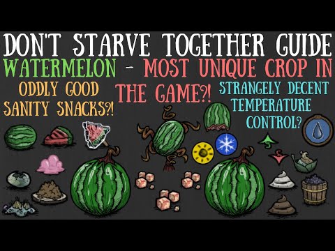 Don't Starve Together Guide: Watermelon - Most Unique Crops?! - Giants, Nutrients & More