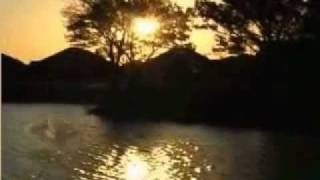 Lantana Community: Make Lantana, Texas Your New Neighborhood