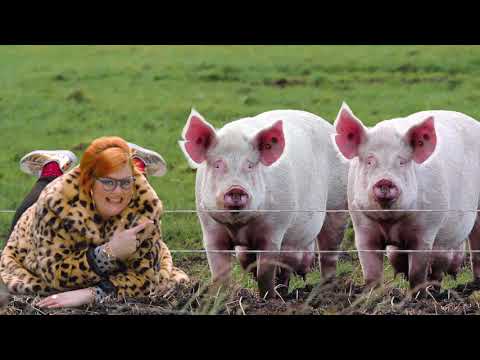 Watch lagu Images Videos Actress Are You Going To Bingo, Watch Images Actress Are You Going To Bingo free Watch, Watch Images Actress Are You Going To Bingo