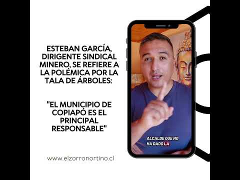 Esteban García, dirigente sindical minero, se refiere a la polémica por la tala de árboles