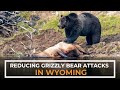 Reducing Grizzly Bear Attacks in Wyoming