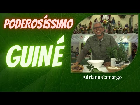 Guiné com Adriano Camargo [Rituais com Ervas]