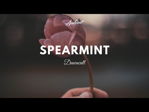Dawncall - Spearmint
