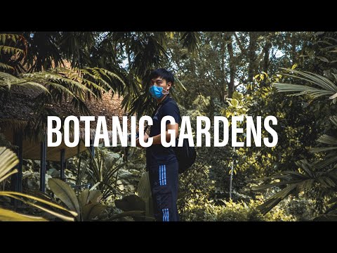 Exploring Singapore's First UNESCO Heritage Site | Sony A6300 Cinematic Video [4K]