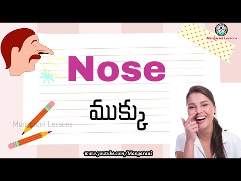 Learn a word a day