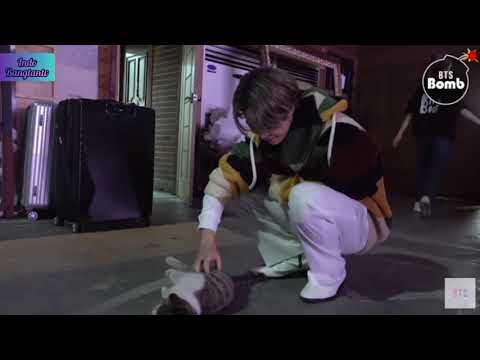 [BANGTAN BOMB Sub Indo] You Have a Meow-sitor! - BTS (방탄소년단)