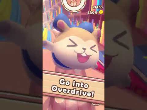 Hammie Scramble video thumbnail