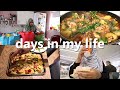 a relaxing morning, groceries & family meals - days in my life