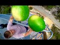 CATCHING WATERMELONS from 150 FEET!