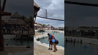 Carnival Vista docks next to Dolphin Discovery at the Costa Maya Cruise Terminal.