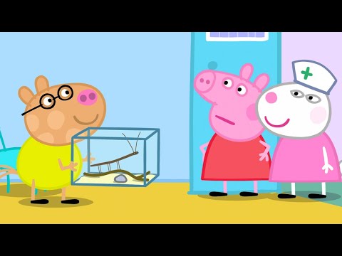 Capa de Um Dia nos Veterinários! | Peppa Pig Português Brasil Episódios Completos