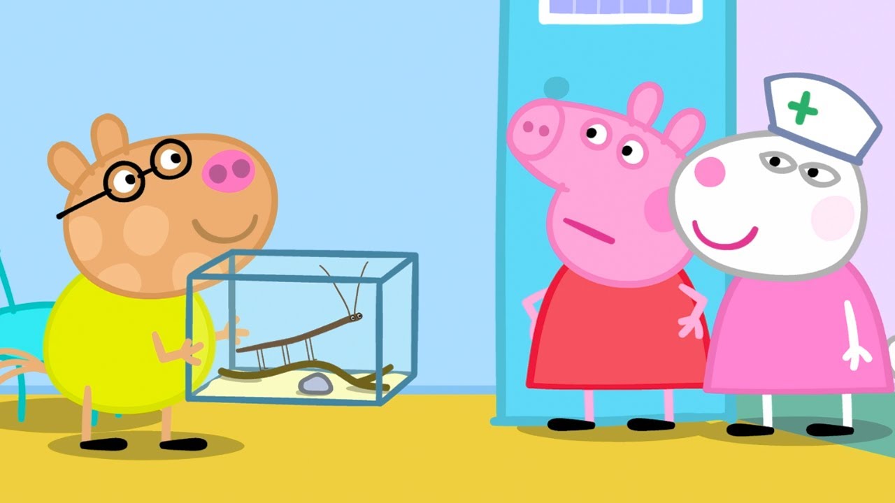 Um Dia nos Veterinários! | Peppa Pig Português Brasil Episódios Completos