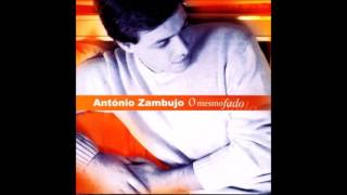 O Mesmo Fado Lyrics English Translation