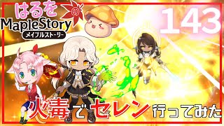 【はるをのメイプル】アークメイジ火毒のセレン【火毒284】