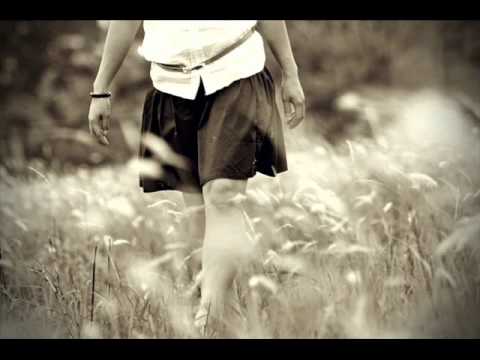 Don Coi - Truong Quynh Anh