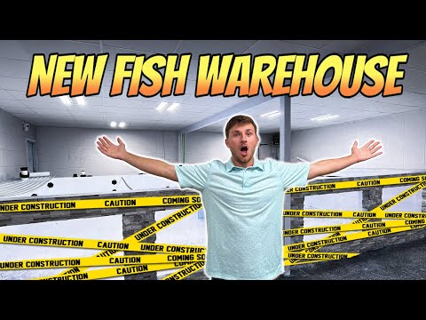REMODELING MY FISH WAREHOUSE (8,000g Pond Build)