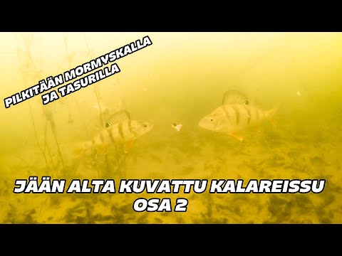 PILKKIREISSU JÄÄN ALTA osa 2